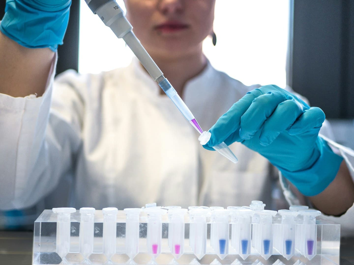 Scientifique pipetant des échantillons dans des tubes PCR au laboratoire